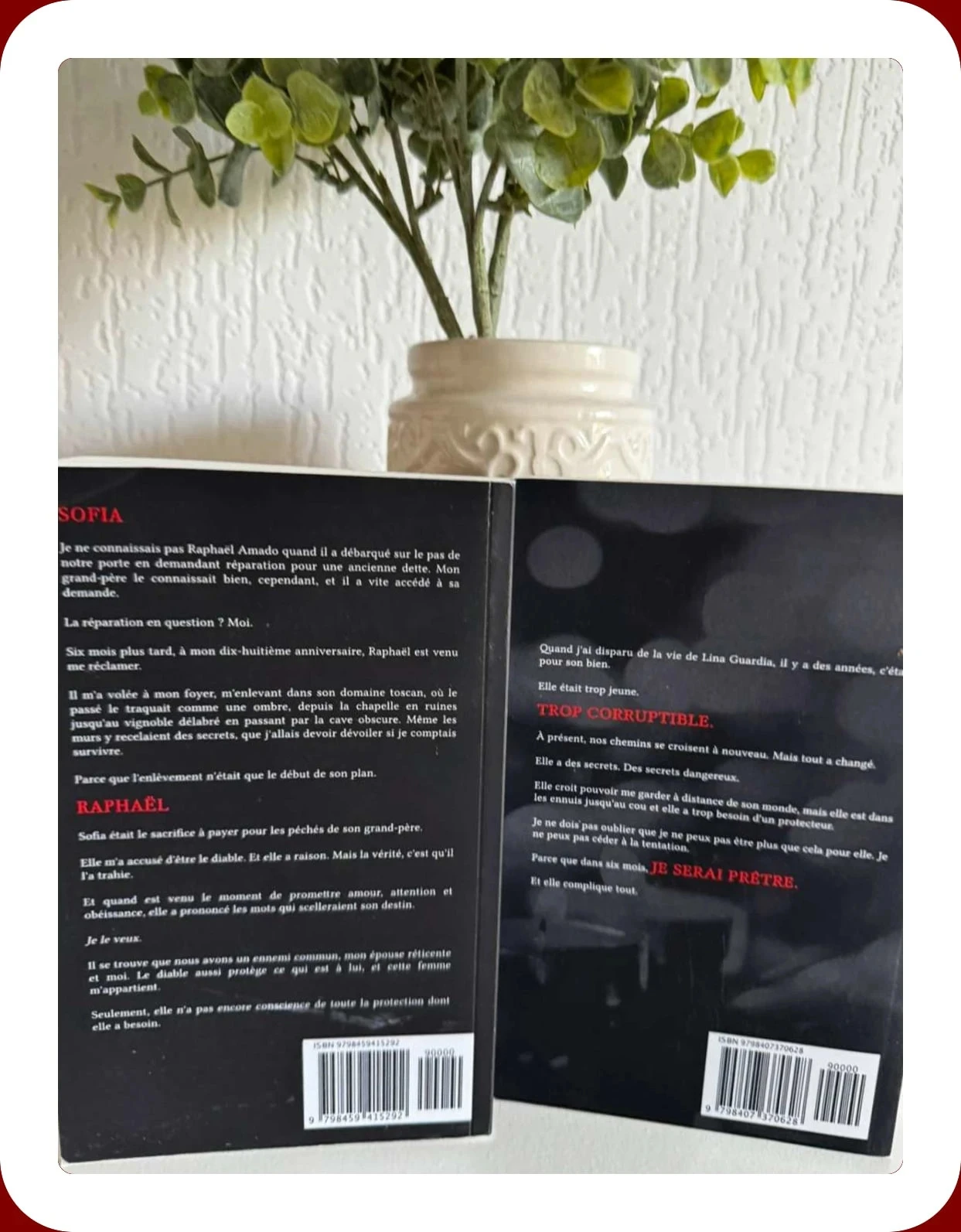📖 Les Frères Amado – Tomes 1 & 2 van Natasha Knight 🏳🏳 – photo 3